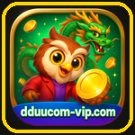 dduu.com